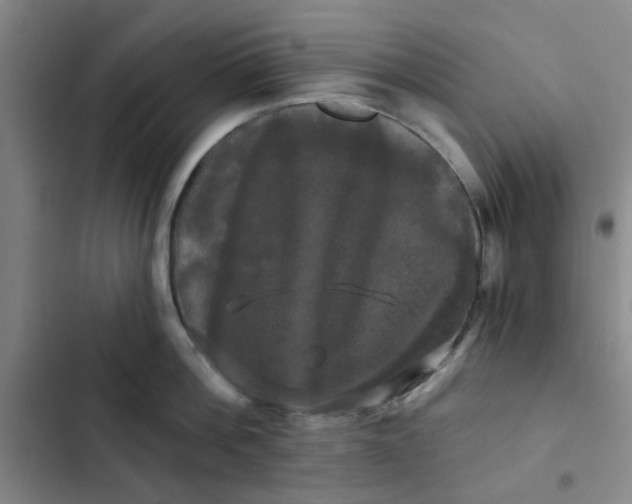 X0000102490812200808221729