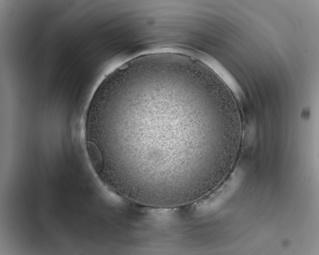 X0000102490813200808221729