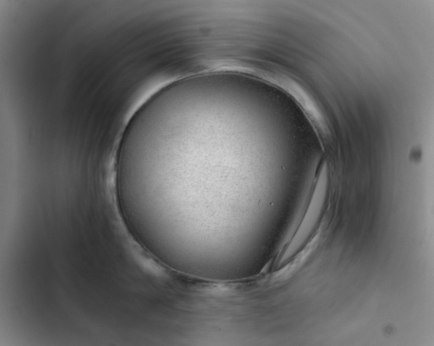 X0000102490814200808221729