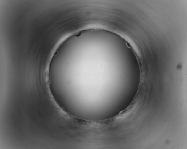 X0000102490815200808221729