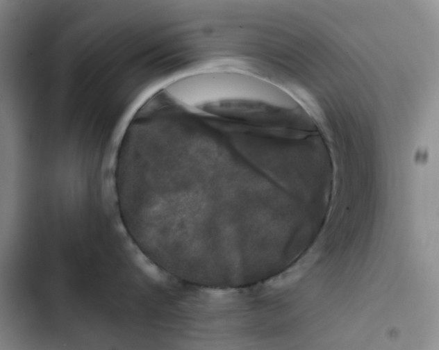 X0000102490816200808221729