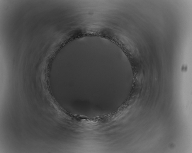 X0000102490817200808221728