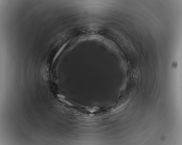 X0000102490818200808221728