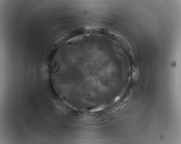 X0000102490819200808221728