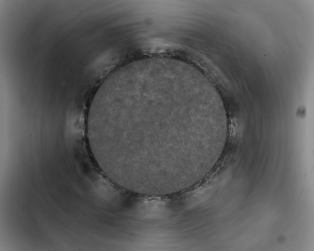 X0000102490820200808221728