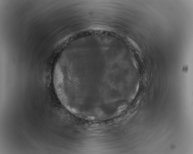 X0000102490821200808221728