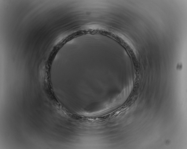 X0000102490823200808221728