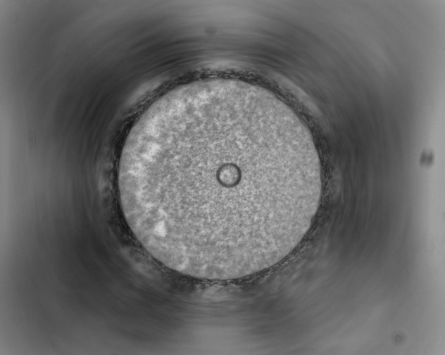 X0000102490824200808221728