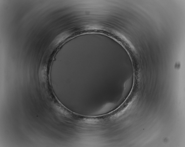 X0000102490825200808221728