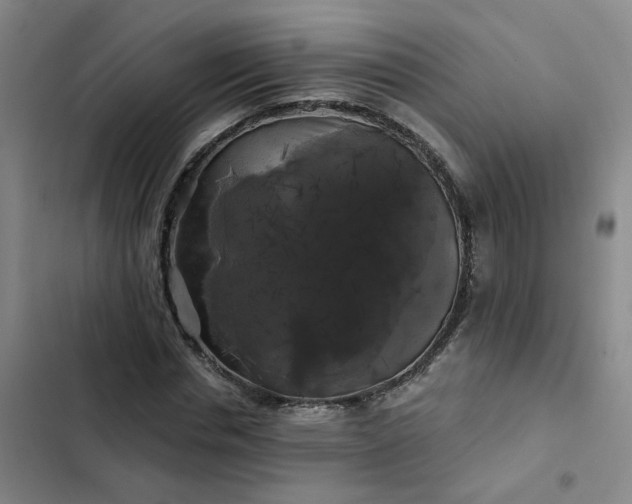 X0000102490826200808221728