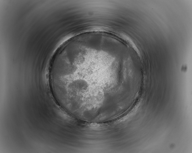 X0000102490827200808221728