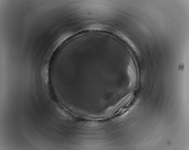 X0000102490829200808221728