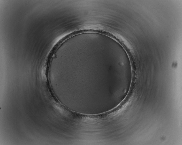 X0000102490830200808221728