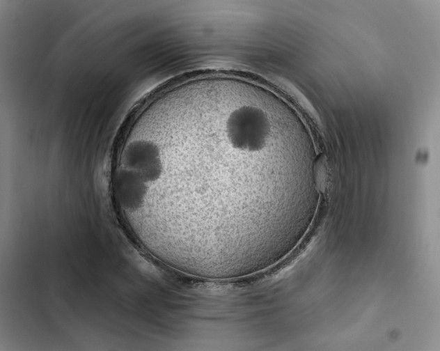 X0000102490831200808221728