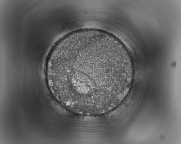 X0000102490832200808221728