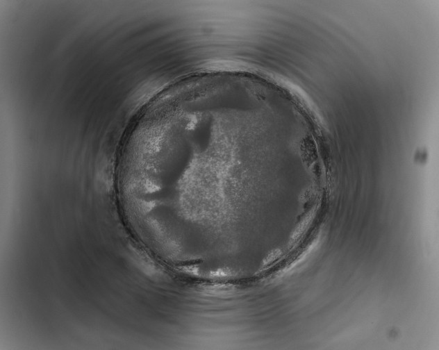 X0000102490833200808221728