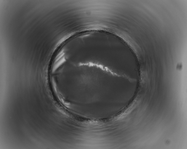 X0000102490834200808221728