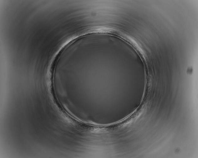 X0000102490835200808221728