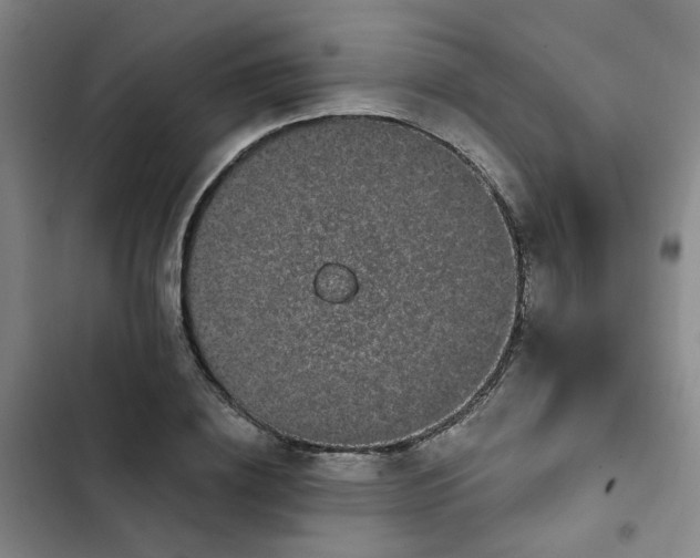 X0000102490836200808221728