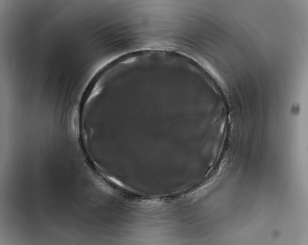 X0000102490838200808221728