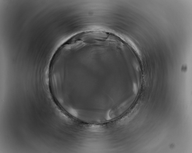 X0000102490839200808221729