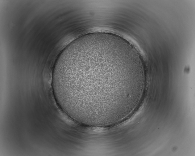 X0000102490841200808221729