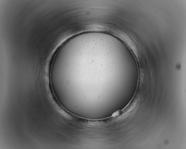 X0000102490843200808221729