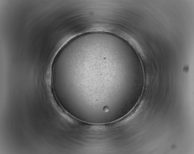 X0000102490844200808221729