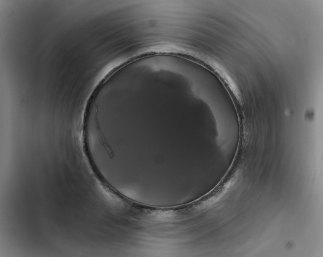 X0000102490845200808221729