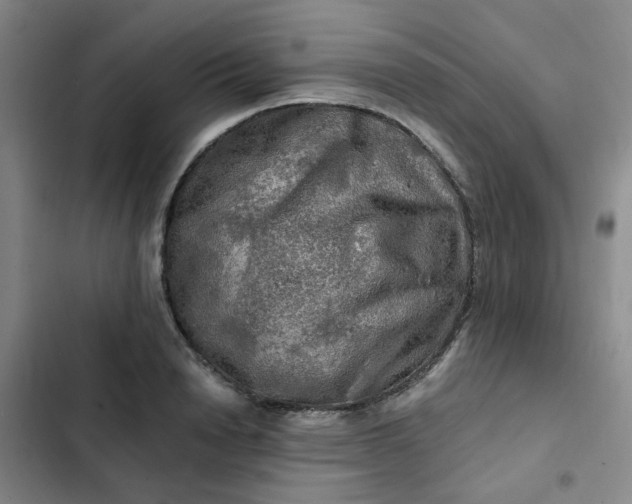 X0000102490846200808221729