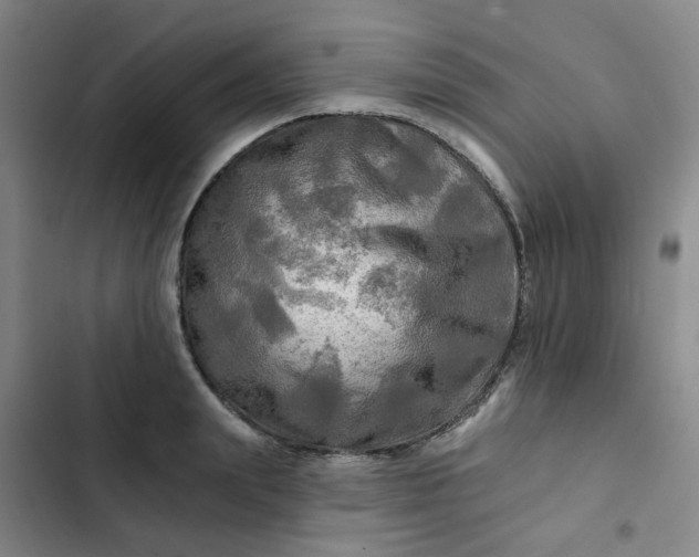 X0000102490847200808221729