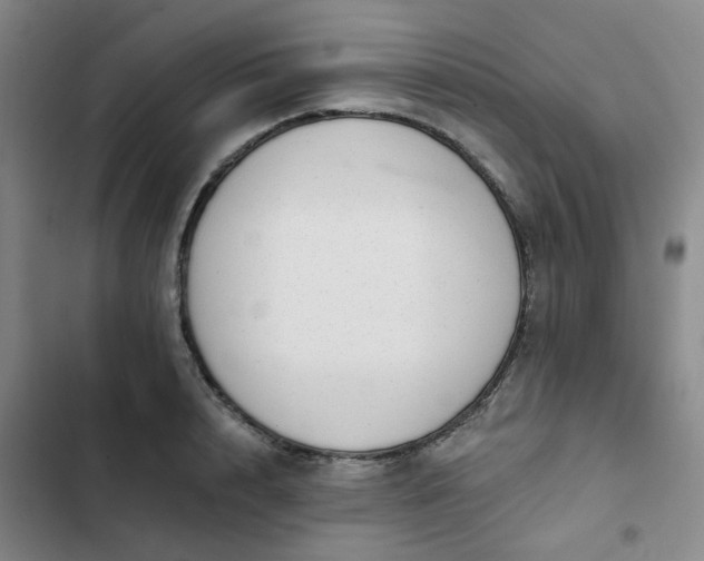 X0000102490848200808221729