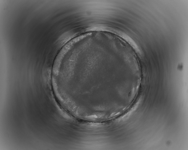 X0000102490849200808221729