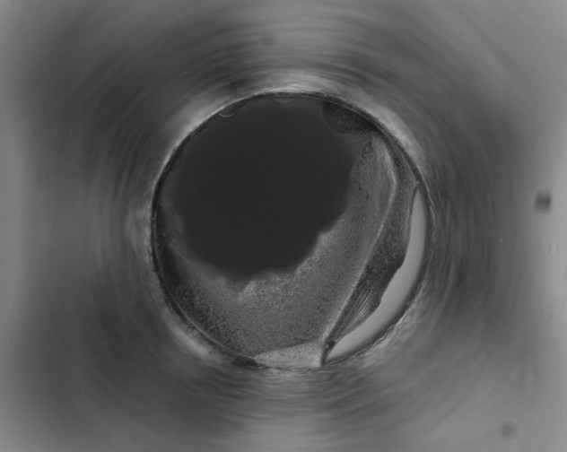 X0000102490850200808221729