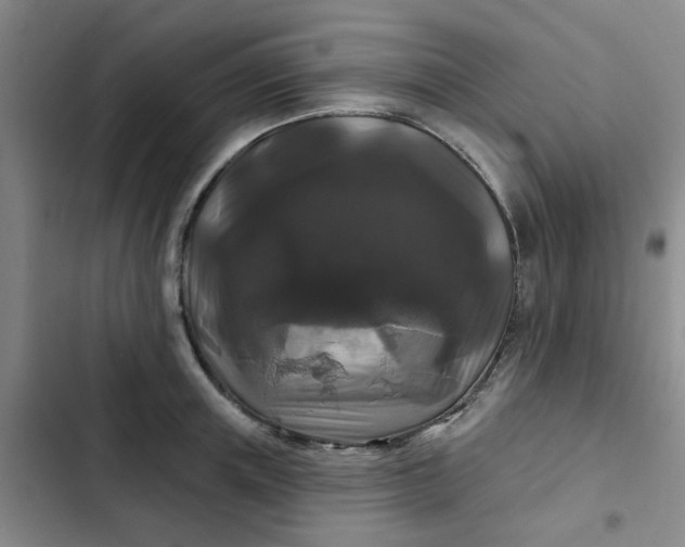 X0000102490851200808221729