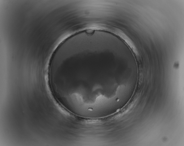 X0000102490853200808221729