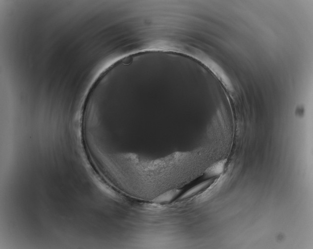 X0000102490854200808221729