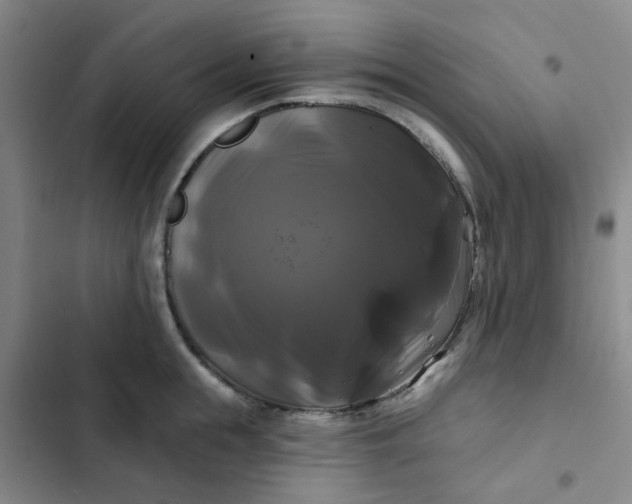 X0000102490855200808221729