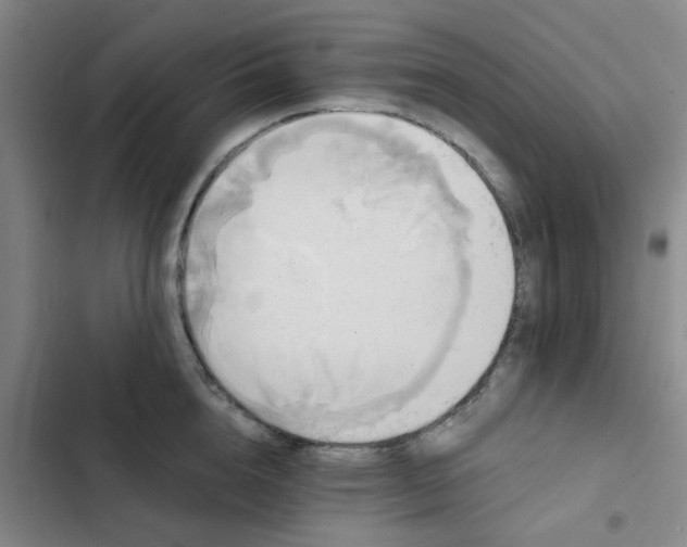 X0000102490856200808221729