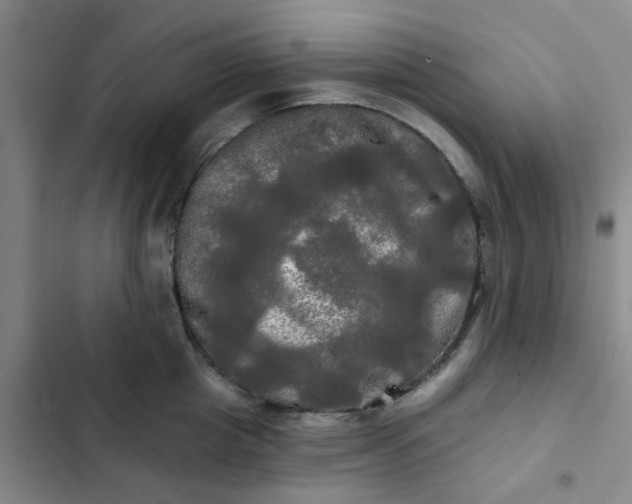 X0000102490857200808221729