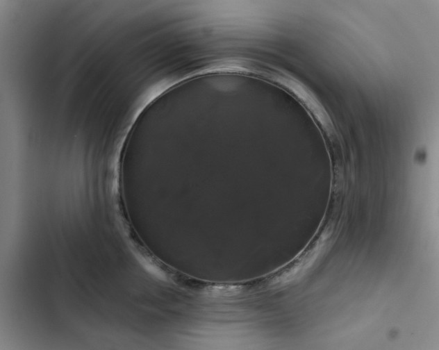 X0000102490858200808221729