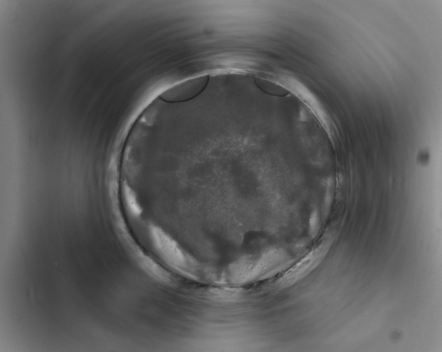 X0000102490859200808221729