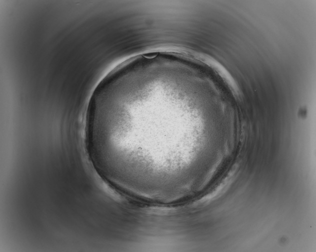 X0000102490860200808221729