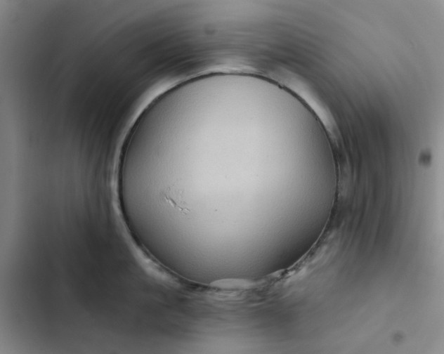 X0000102490861200808221729