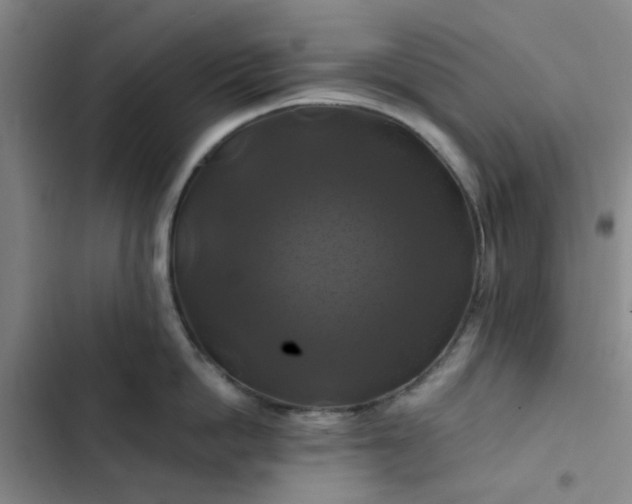 X0000102490862200808221729