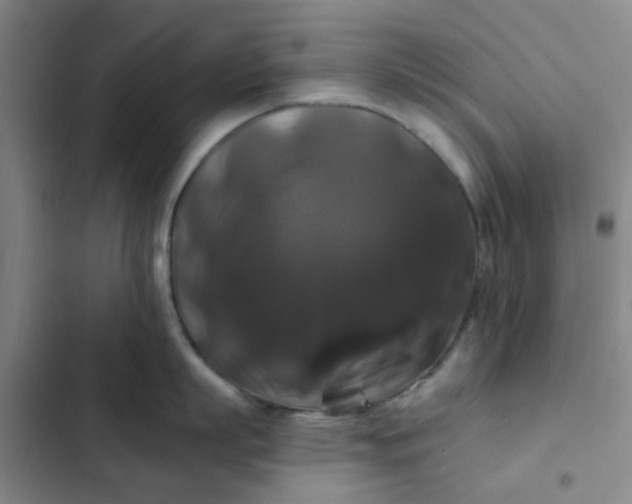 X0000102490863200808221729