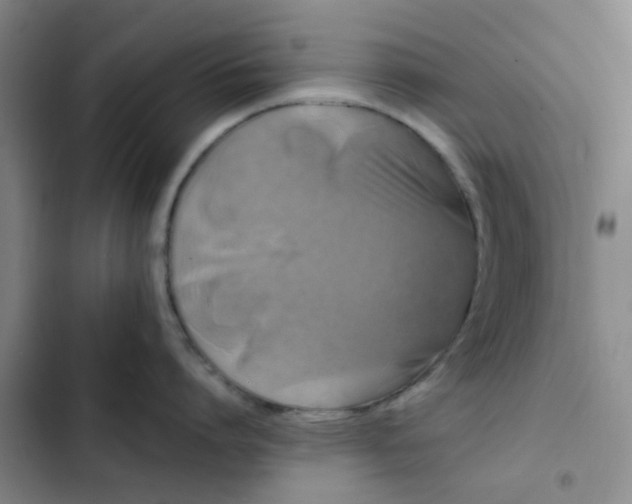 X0000102490864200808221729