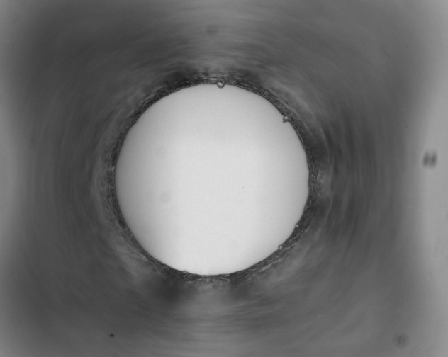 X0000102490865200808221728