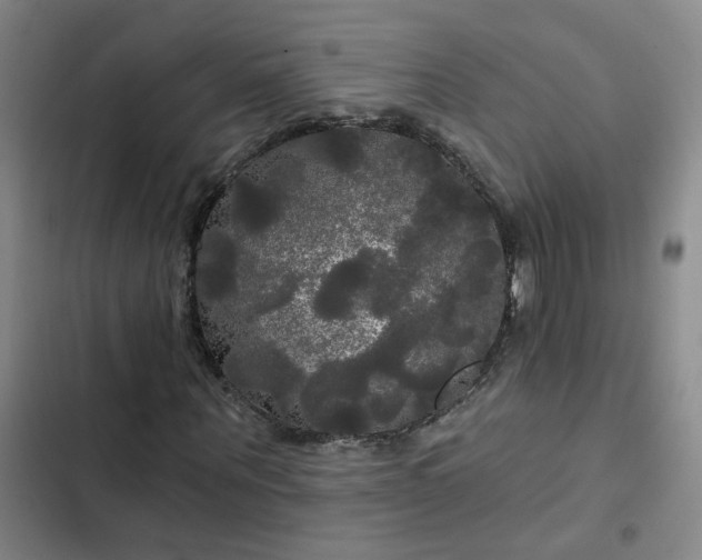 X0000102490867200808221728