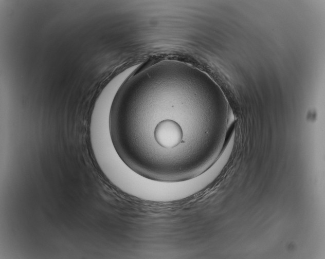 X0000102490868200808221728